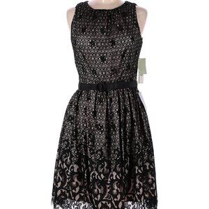 NWOT Eliza J black lace dress with nude underlay, size 6